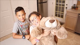 Weighted Plush Stuffed Animal Review | Microwavable Brown Bear Heated Stuffed Animal Heating Pad