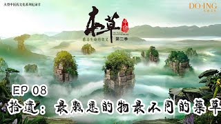 【FULL】《本草中国第二季》第8集拾遗：找寻最初的记忆 The Tale Of Chinese Medicine S2 EP8 Rediscovering the familiar memory