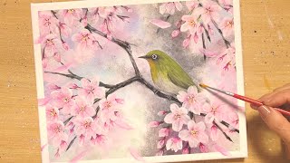 How to draw 【cherry blossoms and Japanese white-eye】 with acrylic paint/painting for beginners/