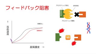 12高校生物「酵素反応」2022