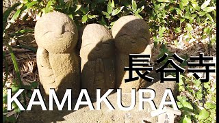 【鎌倉散策】冬の長谷寺を散歩/Walk around Hase-temple in KAMAKURA