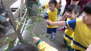 1040417貞德幼兒園校外教學~寶群主題農庄 19