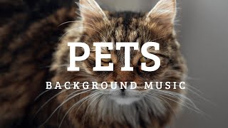 Pets Background Music | Funny Free Music