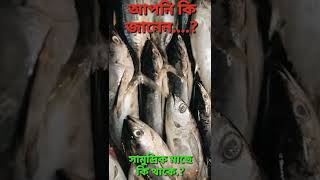 কেন সামুদ্রিক মাছ বেশি খাওয়া উচিত // sea fish 🐟🐟// সামুদ্রিক মাছের উপকারিতা 😍🥰