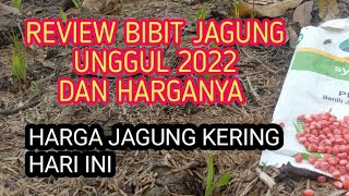 HARGA JAGUNG  HARI INI DAN HARGA BIBIT JAGUNG UNGGUL 2022