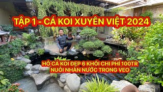 TẬP 1 - CÁ KOI XUYÊN VIỆT 2024 - HỒ CÁ KOI ĐẸP 6 KHỐI CHI PHÍ 100TR NUÔI NHÀN NƯỚC TRONG VEO