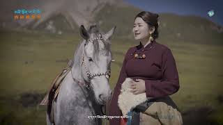 Tsering Dolma ལེན་མཁན། ཚེ་རིང་སྒྲོལ་མ། Tibetan Song གནས་ཡུལ་བུ་མོ།