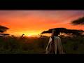 Winky D - Chivanhu (cover by Scofield Nash) AI VIDEO