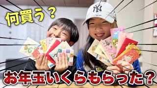 小学生姉弟のお年玉事情！金額公開します💸✨前からずっと欲しかった〇〇を買いに行ってきました！