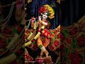 krishna aarti 🙏❤️🦚 lordkrishna krishna aarti krishnabhajan shorts hinduism devotional prayer