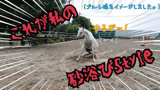 水の味の違いが分かる馬？その前に砂浴びをするウマ、ポニー君も居るよっ！！！！【ツルマルボーイ様のシモベ】