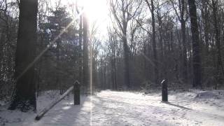 GPTV: Vrijwilligersdag Staatsbosbeheer Oudemirdum