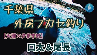 【大潮×夕まずめ】波風に苦戦しながらも口太＆尾長メジナをゲット！