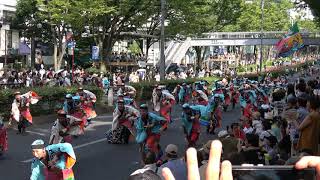 國士舞双＠2019　原宿スーパーよさこい