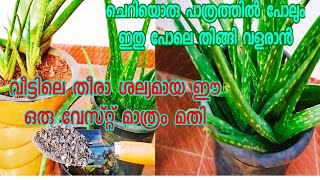 നമ്മൾ വലിച്ചെറിയുന്ന ഈ സാധനം മാത്രം മതി, എത്ര കറ്റാർവാഴ വേണമെങ്കിലും ഉണ്ടാക്കിയെടുക്കാം ||Aloevera |