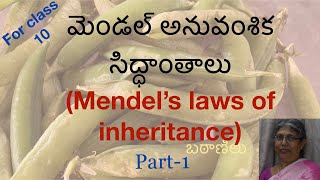 మెండల్ సిద్థాంతాలు( Mendel’s laws of inheritance) part-1