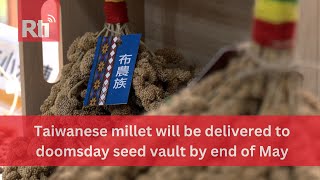 Taiwanese millet will be delivered to doomsday seed vault by end of May | Taiwan News | RTI