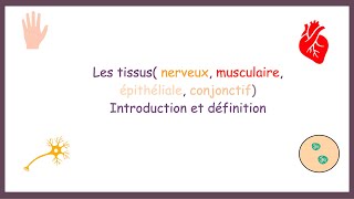 Les tissus(Nerveux, Musculaire, Epithéliale, Conjonctif)- Introduction, Définition.