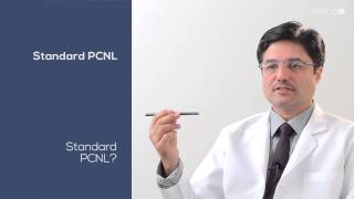 Standard PCNL - NMC Capsules