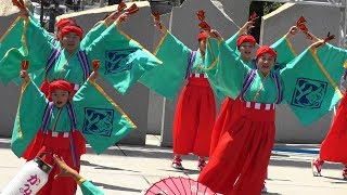 2018年[4K]上町よさこい鳴子連 「2018年四国の祭り③」