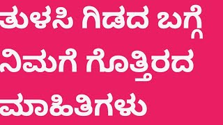 ತುಳಸಿ ಗಿಡದ ಬಗ್ಗೆ ನಿಮಗೆ ಗೊತ್ತಿರದ ಮಾಹಿತಿಗಳು / Usefulinformation in Kannada  / @SonuPallaviKitchen