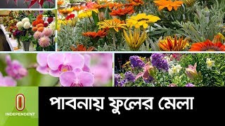 নাম না জানা নানা ফুলের দেখা মিলবে মেলায় ।। Pabna Flower Fair