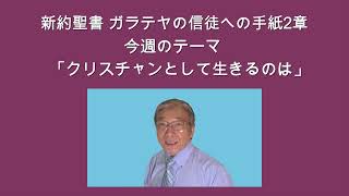 新約聖書 ガラテヤの信徒への手紙2章 (クリスチャンとして生きるのは)