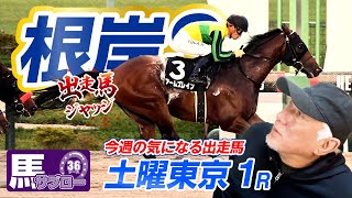 【根岸S】出走馬ジャッジ