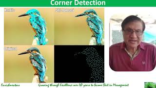 12 Data Collection & Preprocessing IV - Master in Artificial Intelligence (AI)
