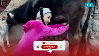 БИЗ ЖОЛУКТУК /АНОНС /НТС/ ЖУМА 20:30 #БИЗЖОЛУКТУК #НТС #КЫРГЫЗСТАН @nts.kyrgyzstan