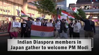 Indian Diaspora members in Japan gather to welcome PM Modi