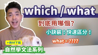 到底用哪個？which/what快速區分【關係代名詞】Ricky//英語小蛋糕