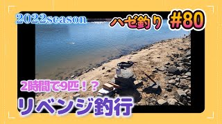 2022年【ハゼ釣り#80】11月6日‗2時間9匹に挑戦！あの場所は釣れるの？‗釣果情報