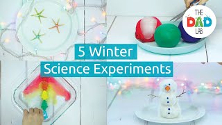 Top 5 Must-Try Christmas Science Activities for Kids
