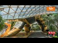 কেন ১২ বার বিশ্বসেরা হলো চাঙ্গি এয়ারপোর্ট changi airport world s best airport singapore