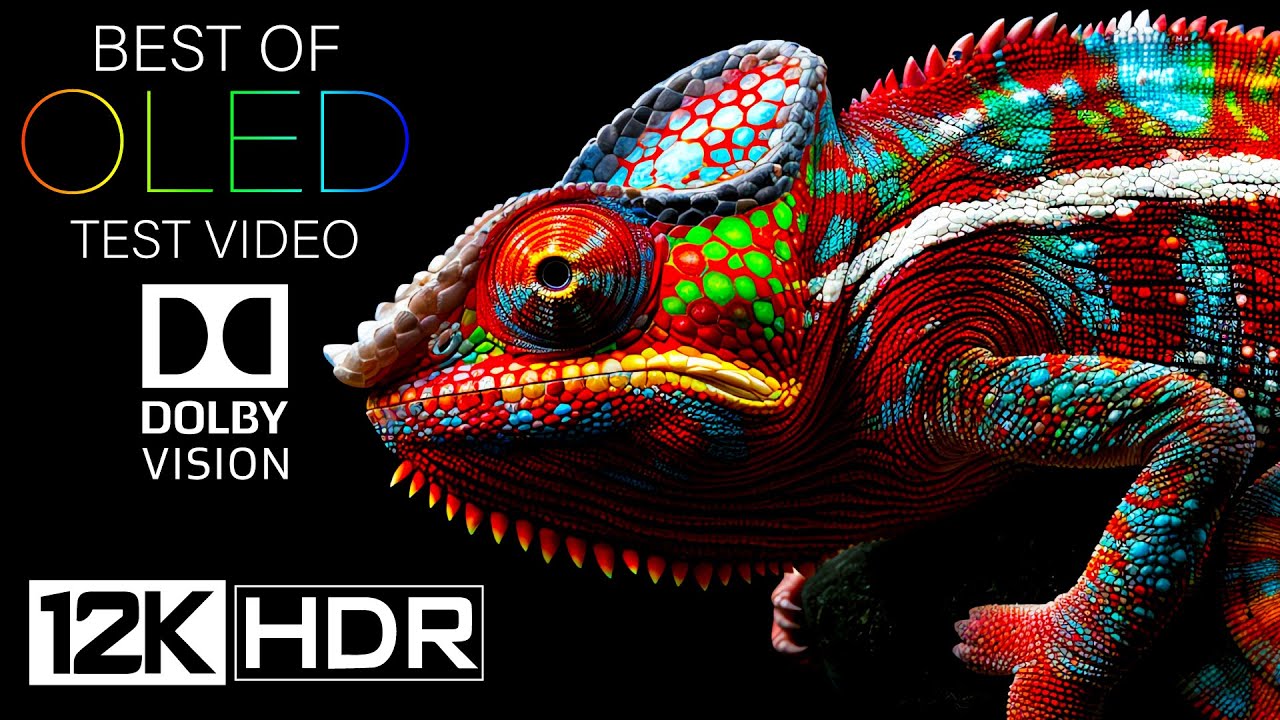 12k Hdr 240fps Dolby Vision Oled Test Video 2024