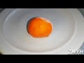 freezing mandarin time lapse