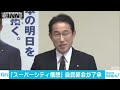 スーパーシティ構想実現へ　自民が特区法改正案了承 19 05 31