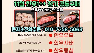 한우 고집쟁이 11월 정기 공동구매 영상 (11월 24일까지)