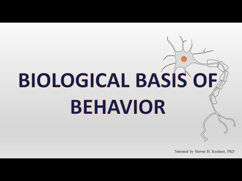 What is the biological basis of behavior?