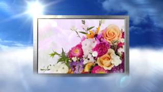 Alexander Funeral Home - Charlotte, NC