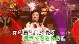 張琪朗 - 掀起你的蓋頭來 (小調格格琪朗美麗人生演唱會)