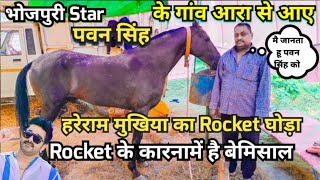 Bhojpuri Star पवन सिंह के गांव से आए हरेराम मुखिया का घोड़ा Rocket के कारनामें है बेमिसाल