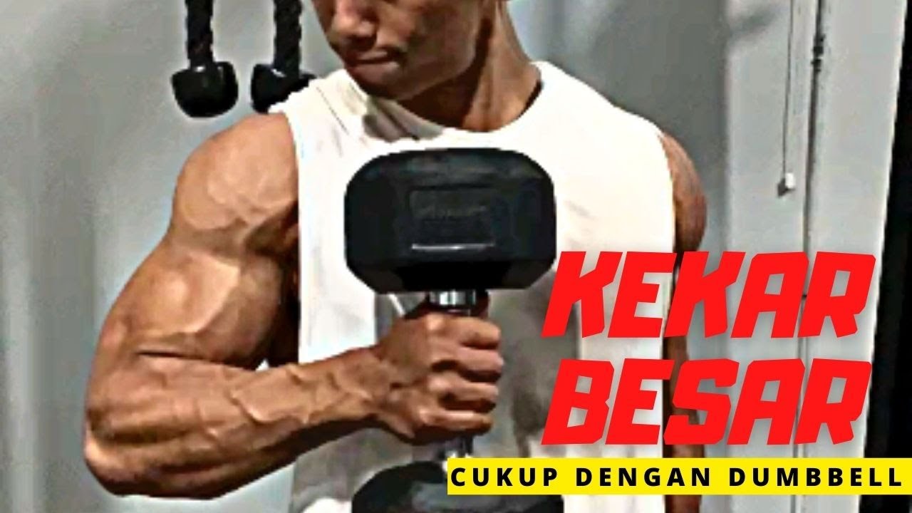 Latihan Membentuk Otot Lengan Dengan Dumbbell | Binaraga Iqbal Fauzi ...