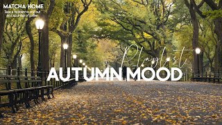 [Playlist] 🍂 다시 가을, 차가워진 바람을 맞으며 | 들을 때마다 마음이 따뜻해지는 감성적인 노래 | autumn groovy