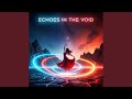 Echoes in the Void