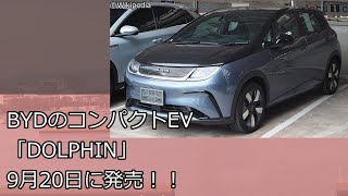 BYD's compact EV \