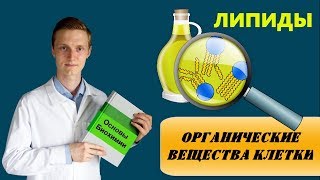 Липиды (жиры): строение, классификация, биологическая роль и функции | БИОХИМИЯ | БИОЛОГИЯ | ХИМИЯ