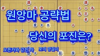 원앙마 VS 단일포진, 그 결과는?