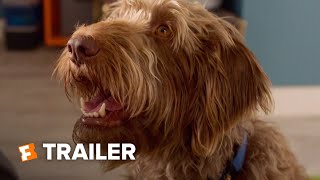 Think Like a Dog (2020) Trailer #1 | Fandango Family